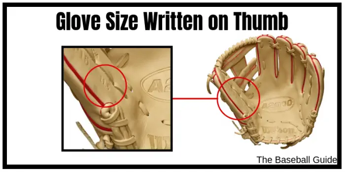 How to find size of baseball glove