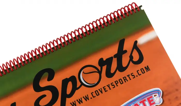 Back Cover of Baseball Scorebook