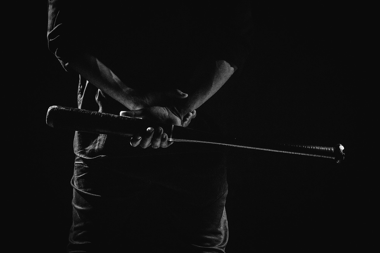 Best Baseball Bat for Self Defense and Home Protection