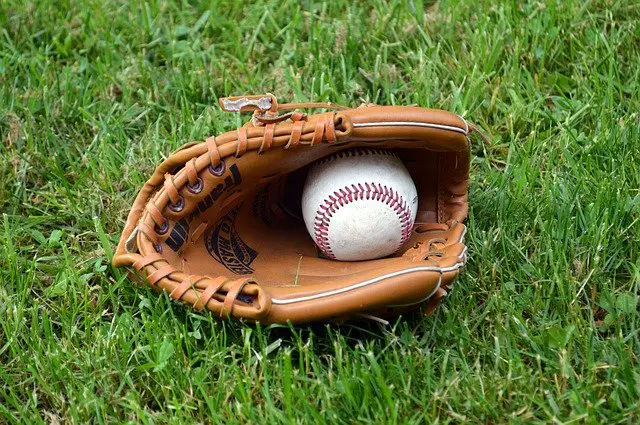 baseball glove web types for infielders