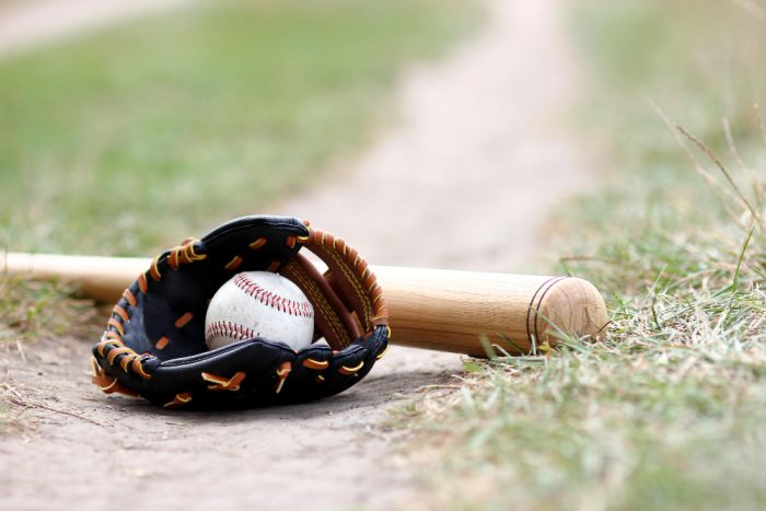 Types of wood bats