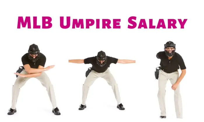MLB Umpire Salary: How Much Do They Make?