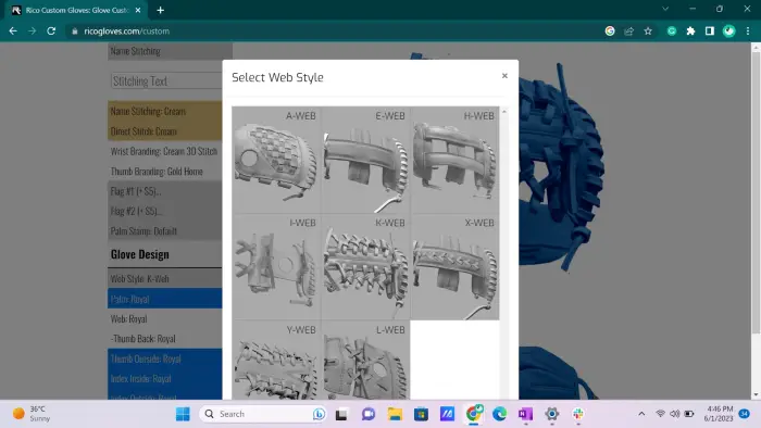 Choosing web styles from different options