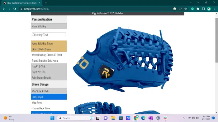 Making further changes in Rico Glove