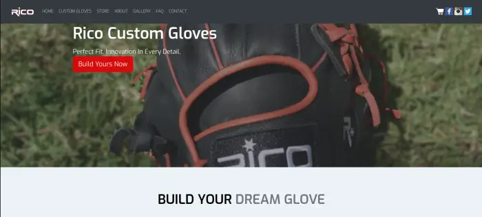 Rico Custom Baseball Gloves