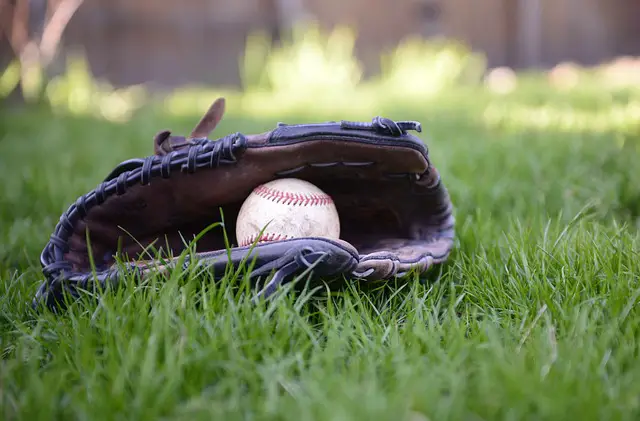 baseball glove for third baseman 